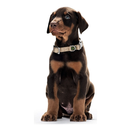 Collar para perros Hunter Alu-Strong Naranja Talla M (40-55 cm)