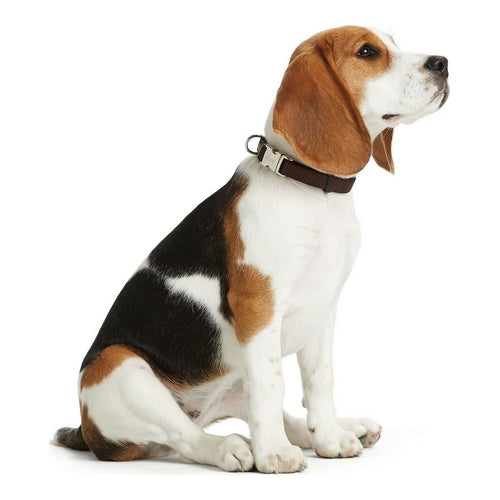 Collar para perros Hunter Alu-Strong Naranja Talla M (40-55 cm)
