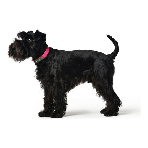 Collar de perro Hunter rosa talla M/L (42-50 cm)