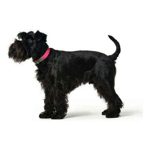 Collar de perro Hunter rosa talla M/L (42-50 cm)