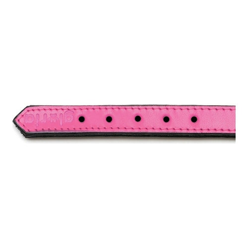 Collar para perros Gloria Acolchado