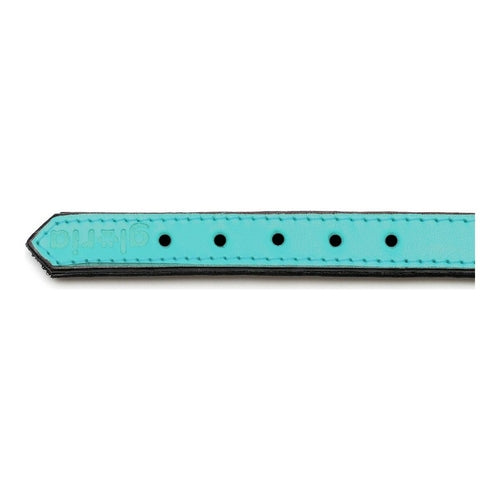 Collar para perros Gloria Acolchado