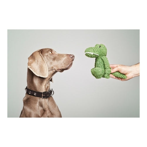 Dog toy Gloria Crocodile Green