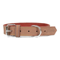 Collar para perros Gloria Oasis Marrón (65 x 3 cm)