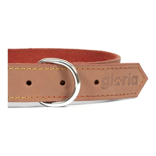 Collar para perros Gloria Oasis Marrón (65 x 3 cm)