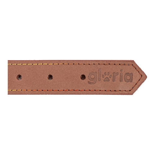 Collar para perros Gloria Oasis Marrón (65 x 3 cm)
