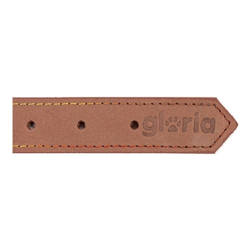 Collar para perros Gloria Oasis Marrón (65 x 3 cm)
