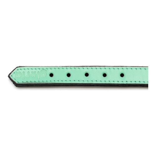 Collar para perros Gloria Acolchado